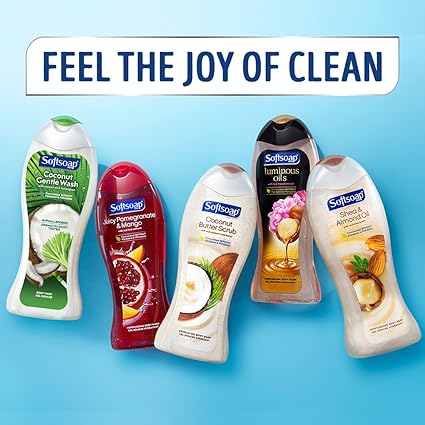 Softsoap Moisturizing Body Wash, Citrus Splash & Berries (4 Pack, 20 fl oz Ea) - Hydrating Clean with Moisture Beads