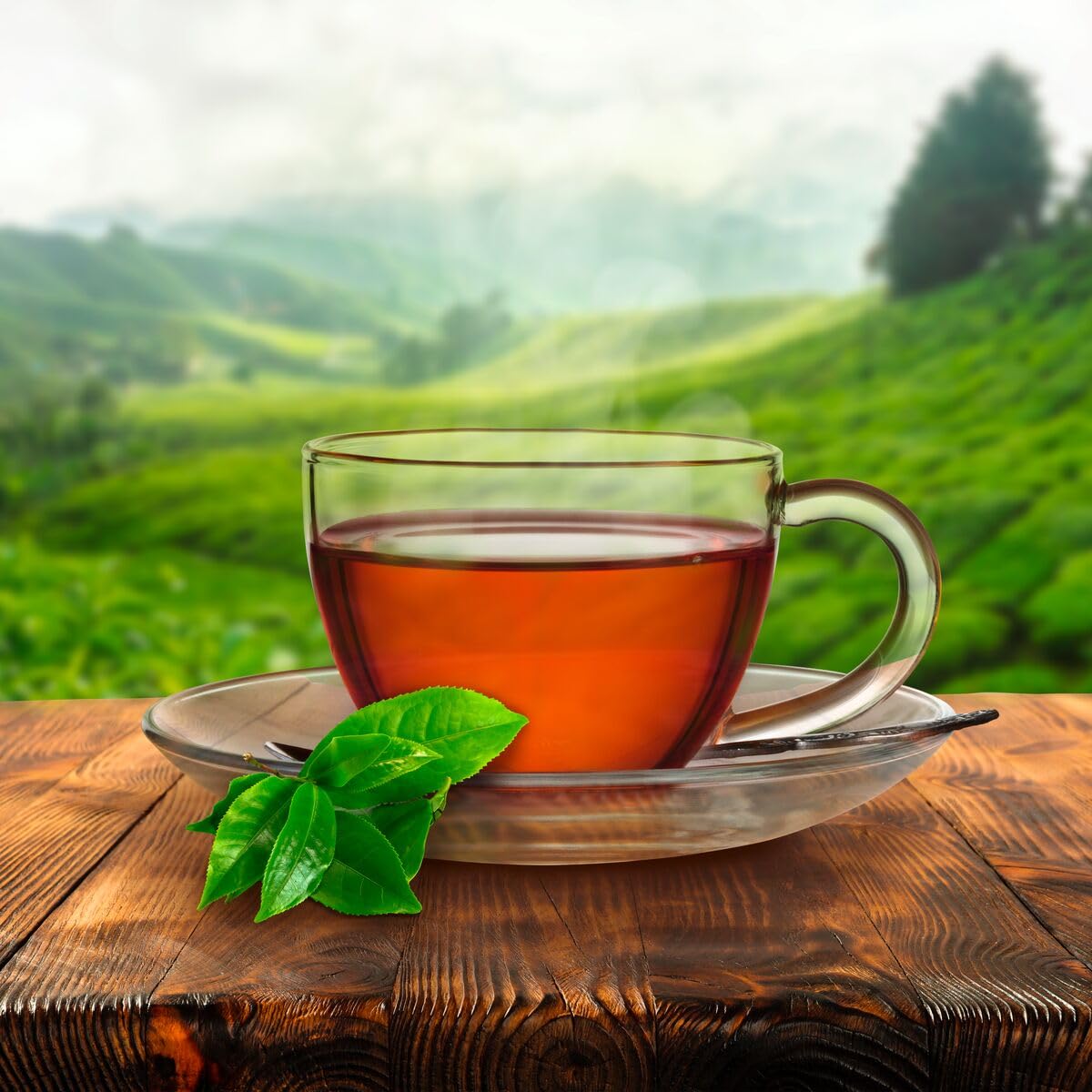 Red Rose Orange Pekoe Black Tea - Classic Brew (216 Teabags)