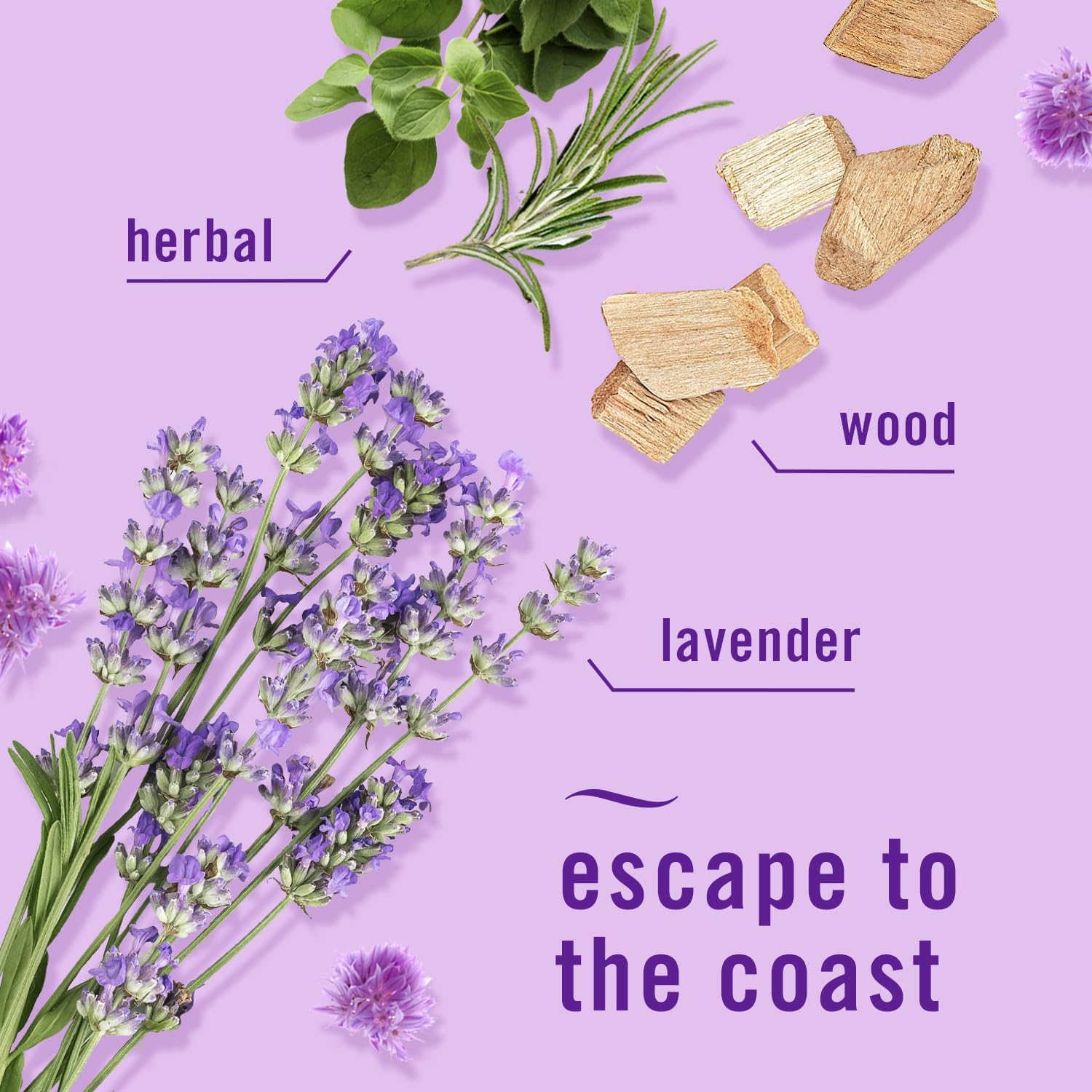 Febreze PLUG Air Freshener Refills (5 Ct, Variety Scents) – Mediterranean Lavender & Downy April Fresh, 50-Day Freshness!