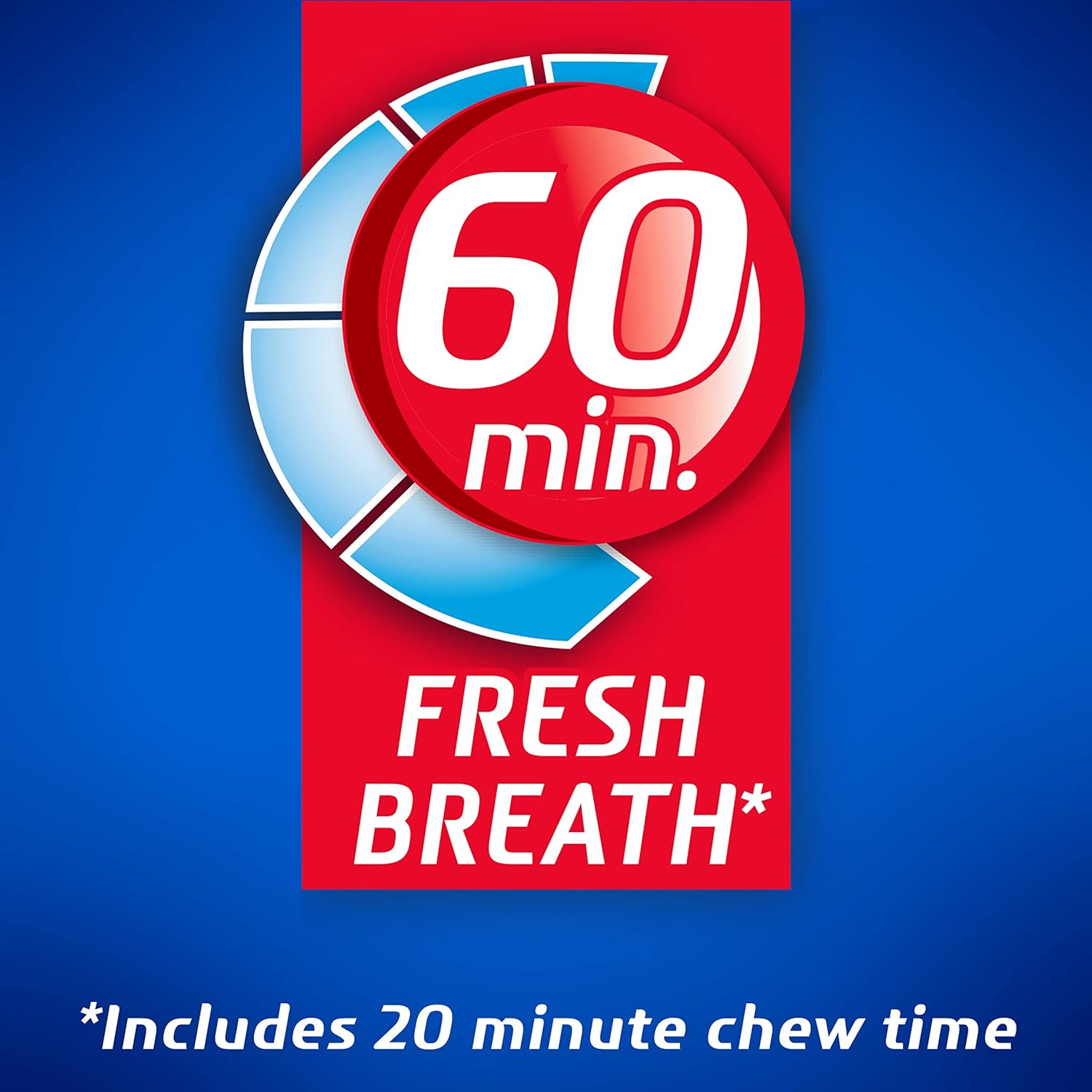 Long Lasting Fresh Breath Bulk Pack