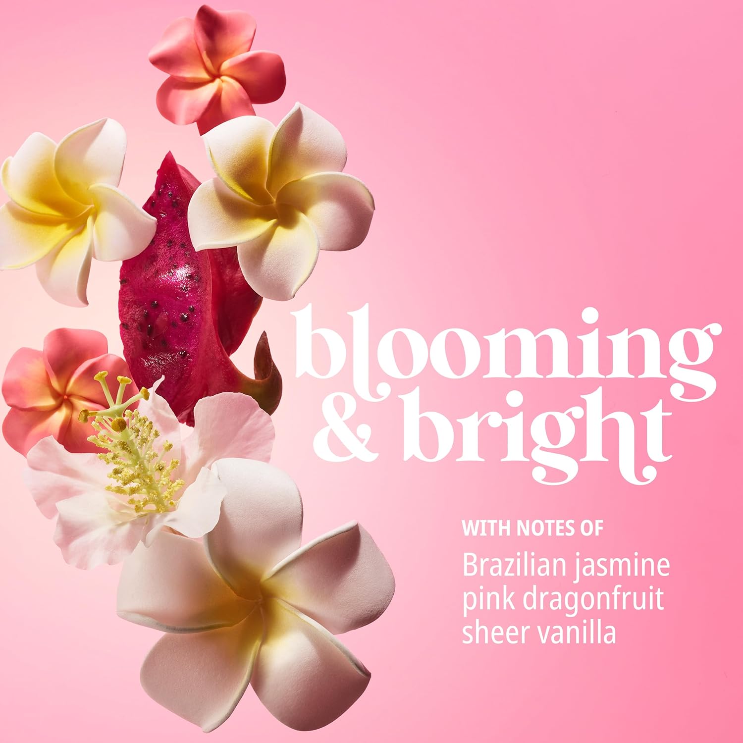 Sol de Janeiro Beija Flor™ Elasti-Cream 240ml/8.1oz – Boosts Elasticity, Collagen Support, Deep Hydration