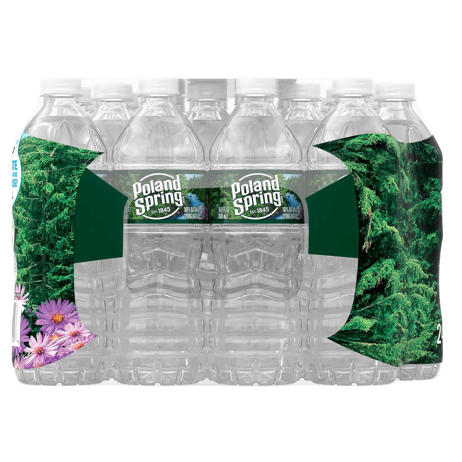 Poland Spring 100% Natural Spring Water (40 Pack, 16.9oz Bottles) – Crisp Taste, Natural Electrolytes, Everyday Hydration