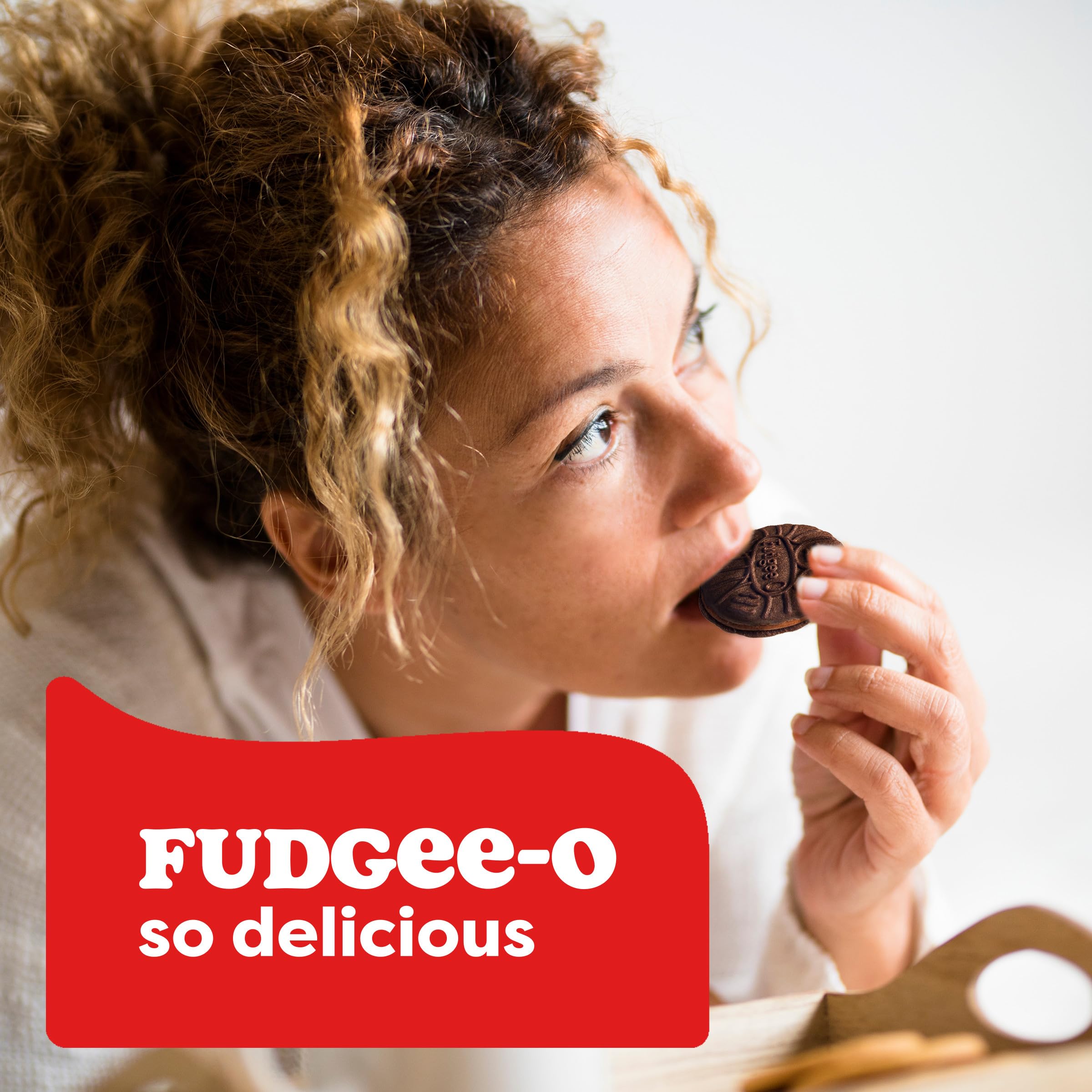 Christie Fudgeeo Original Chocolate Cookies, 303g/10.68oz